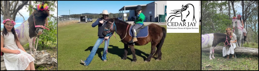 pony rides at kids day out