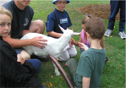 Central Central Kids Day Out